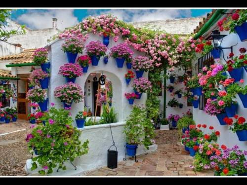 Nueva Andalucia Espagne Code réduction Booking.com hôtels