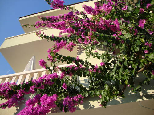 Baška Voda Croatie Code réduction Booking.com hôtels