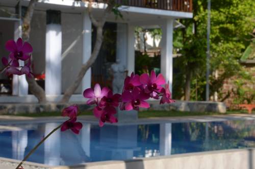 Bentota Sri Lanka Code réduction Booking.com hôtels