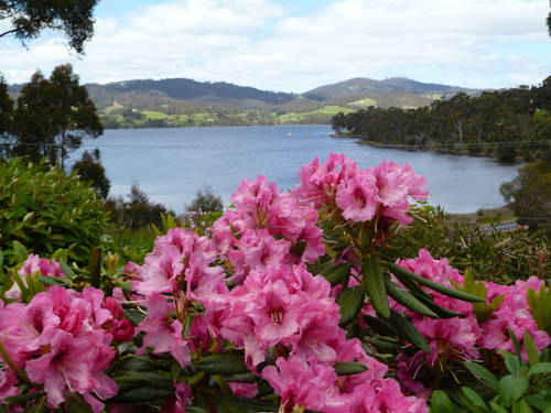 Château Forbes Bay Australie Code réduction Booking.com hôtels