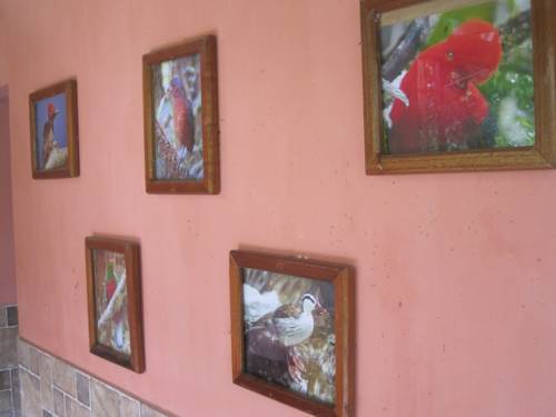 Mindo Equateur Code réduction Booking.com hôtels