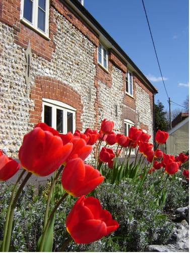 Weasenham Royaume-Uni Code réduction Booking.com hôtels